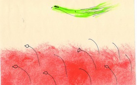 Người không chiêm bao