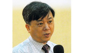 Việt Nam năm 2010: Góc nhìn của họ