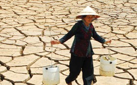 Sống với nhiễm mặn