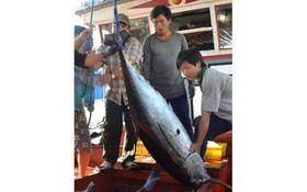 Để tự tin phát triển kinh tế biển