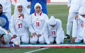 Trâu bò húc nhau...