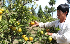 Những nông dân làm khác