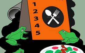 Cái chết của ếch