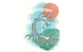 Hương quê đời người