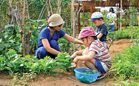 ​“Về quê” giữa lòng thành phố