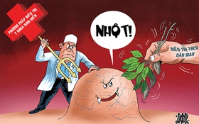 ​Kỳ diệu là điều hiếm hoi