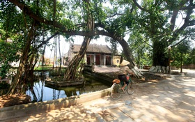 Quà biếu trên đường về quê