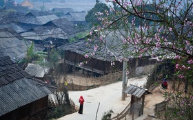 Bản pơmu kỳ lạ