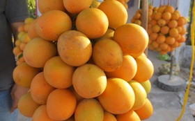 Chua ngọt thanh trà