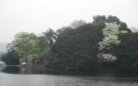 Trái tim người quá đát