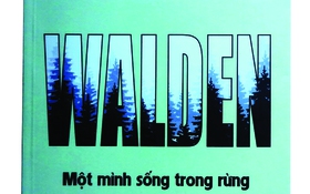Về một cọng rơm bên đầm Walden 