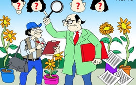 Cuộc sống ngọt ngào