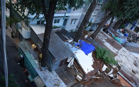 Những ngôi nhà "ôm" cây cổ thụ