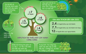  Ai lấy mất mảng xanh đô thị ?