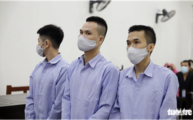 Jelinek, người đàn bà phản kháng