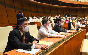 Nắng vẫn chiếu vào bên cửa sớm