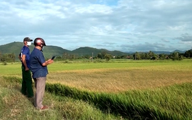 "Trong suốt" để "trong sạch"
