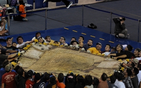 Anh sẽ mở cửa "Bảo tàng đen"?