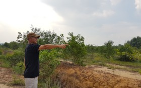Khi rừng tre trổ hoa