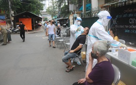 Sếu Nhật đến Hà Nội