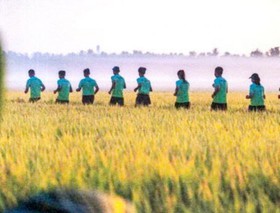 Hàng nghìn runner sẽ chạy băng đồng ở Cần Thơ