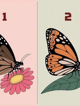 Quiz: Bạn là người thế nào trong mắt bạn bè?