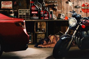 Thương hiệu dầu nhớt Motul trở thành nhà cung cấp của đội đua McLaren F1