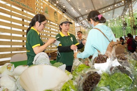 Xuất khẩu ngày một khó, nông sản Việt chuyển đổi xanh mở rộng thị trường