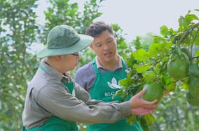 Nông nghiệp Việt Nam vươn toàn cầu: Đừng chờ lớn mới đầu tư, hãy đầu tư để trở nên lớn