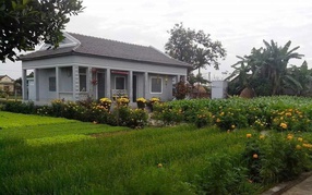 Mái ấm ngày xuân