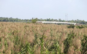 El Nino trở lại