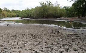 El Nino trở lại