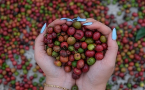 Nông nghiệp bền vững