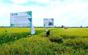 Vì một Việt Nam Xanh Sạch Đẹp