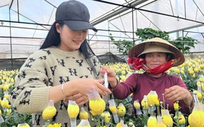 Nông nghiệp bền vững
