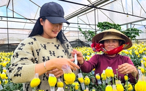 Nông nghiệp bền vững