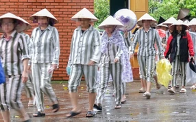 Chính sách có hiệu lực từ 1-7-2026