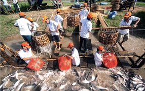 Nông nghiệp bền vững