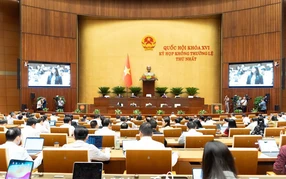 Kỳ họp không thường lệ thứ nhất Quốc hội khóa XVI