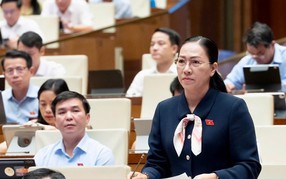 Kỳ họp không thường lệ thứ nhất Quốc hội khóa XVI