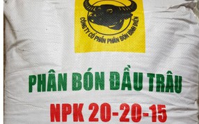 Thương hiệu Vàng TP.HCM - Đi cùng thương hiệu