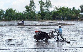 El Nino trở lại