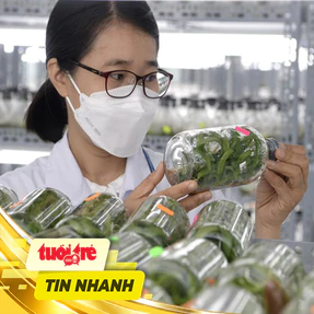 Tin tức sáng 24-10: TP.HCM thu hút 10 chuyên gia nông nghiệp công nghệ cao, thu nhập đến 100 triệu đồng/tháng
