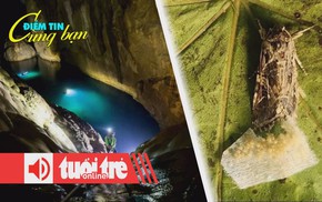 Điểm tin 8h: Hang Sơn Đoòng là bối cảnh phim Ấn Độ; Côn trùng có thể nghe cây cối nói chuyện