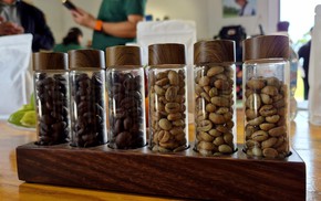 Robusta trong tuần: Giá nội địa mất mốc 90.000 đồng/kg, nông dân ít bán sớm