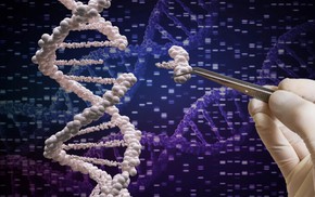 Đức lần đầu điều trị thành công cho bệnh nhân bằng thuốc chỉnh sửa gene