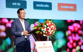 Cứ 5 hạt Robusta thế giới, 2 hạt từ Việt Nam nhưng nhớ tên ai?
