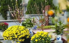 Thời đại di cư mạnh mẽ, nên thay quê quán bằng nơi sinh?