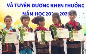 Trường trao thưởng bằng sâm Ngọc Linh: Ý nghĩa nhưng trồng ở đâu, chăm sóc sao?