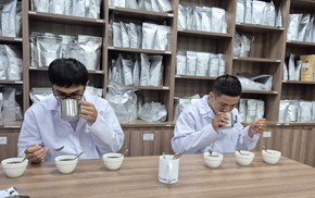 Cà phê Việt tăng tốc chế biến sâu từ lợi thế Robusta
